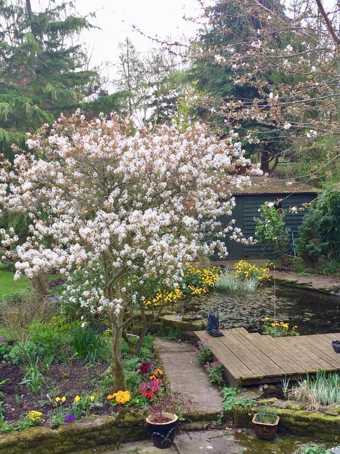Yew Tree Cottage Леминстер Экстерьер фото